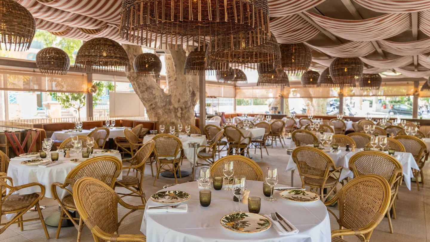 African Queen in Saint-Tropez restaurants official venue cover