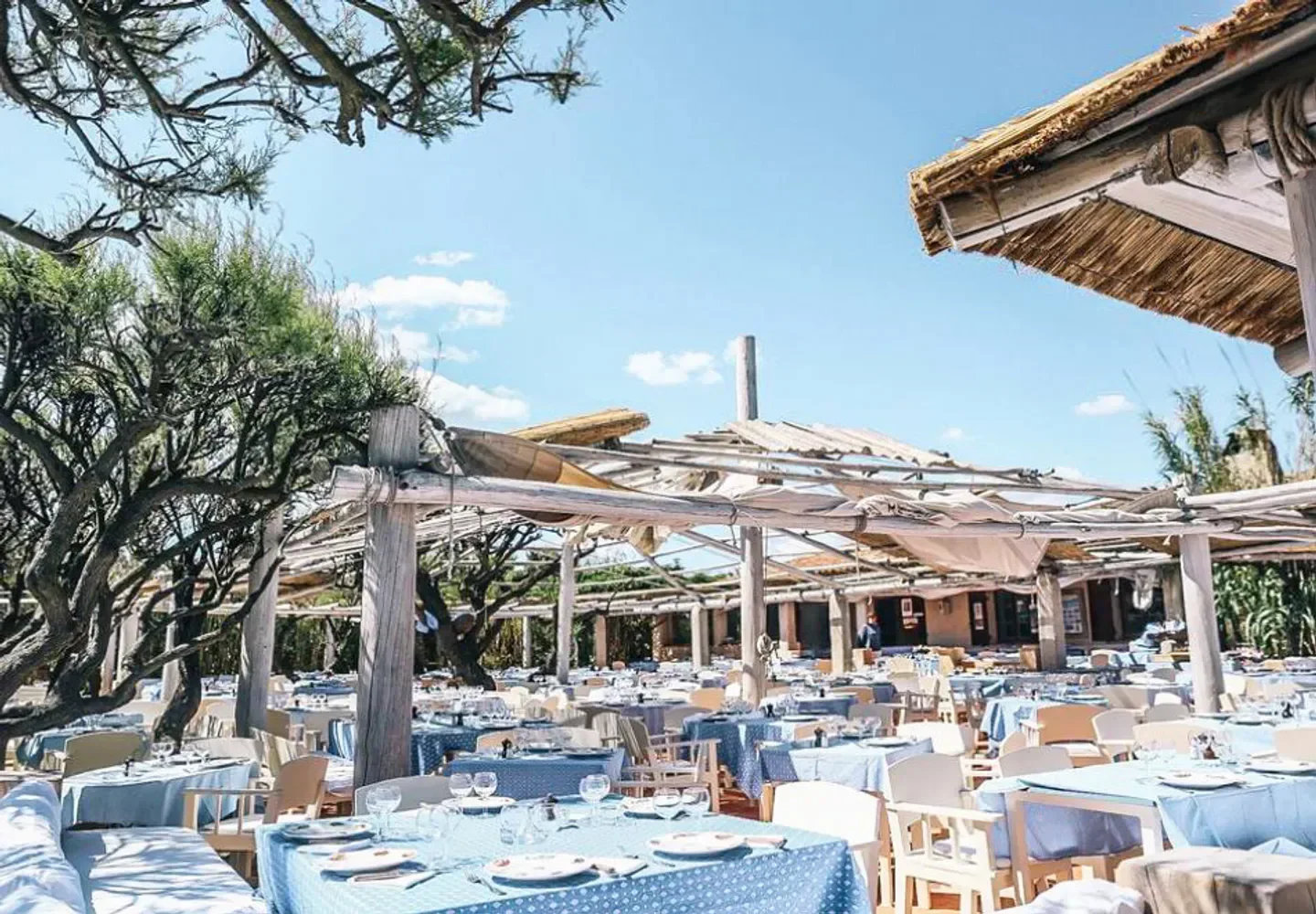 Outdoor dining area at Le Club 55 restaurant in Saint-Tropez, with tables and blue tablecloths.