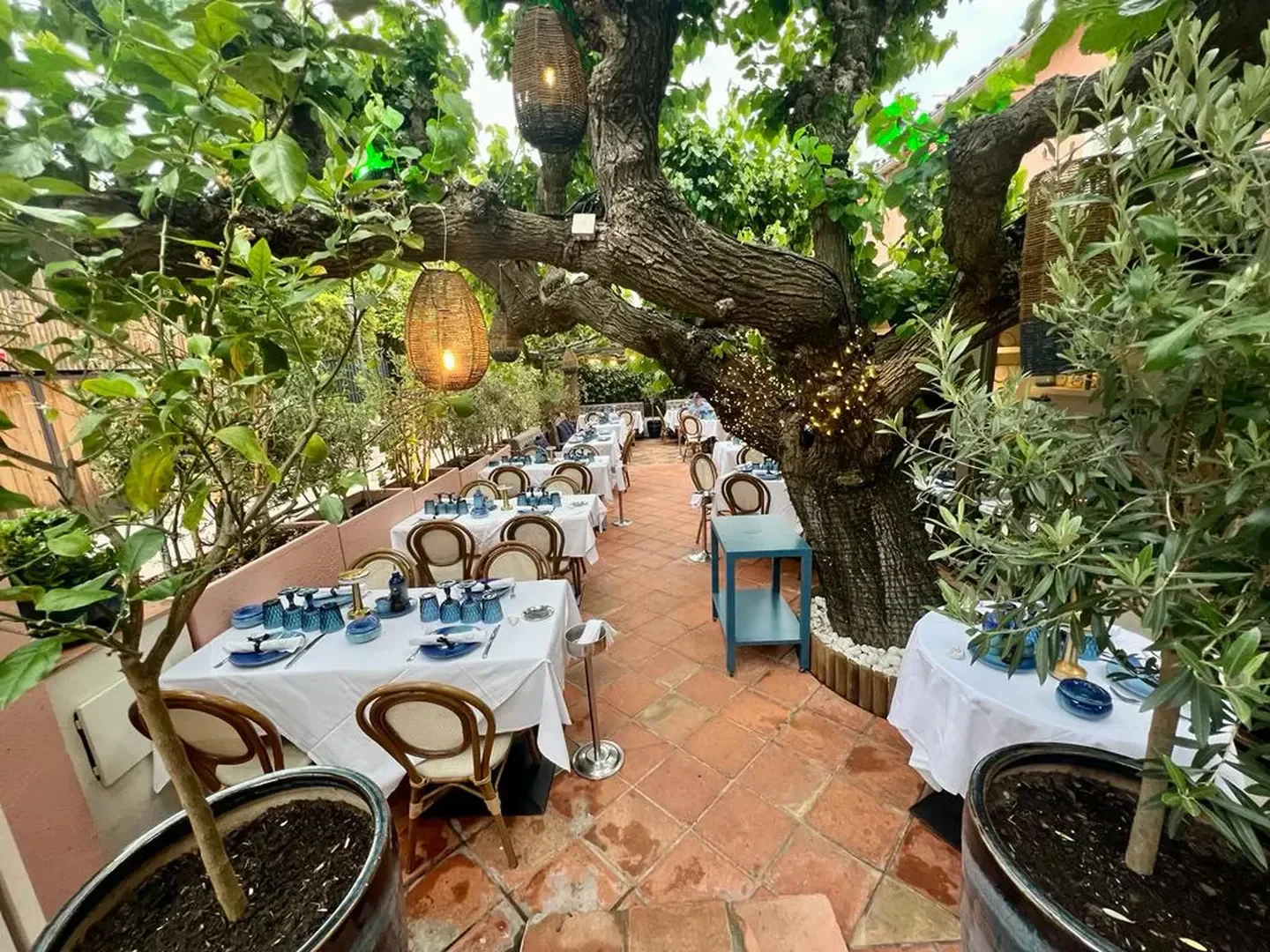 Elegant outdoor dining at Villa Azur in Saint-Tropez, under a tree with hanging lights